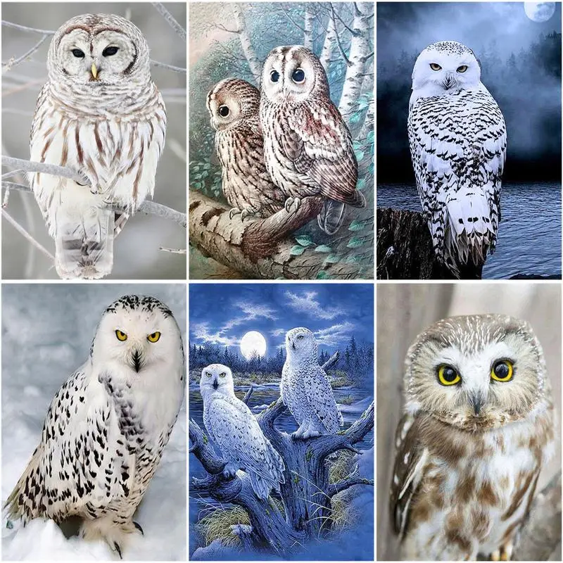 

RUOPOTY Frame Diy Paint By Numbers Kits Acrylic Wall Art Home Decors Owl Animals Modern Coloring By Numbers For Diy Gift 60x75cm