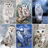ruopoty frame diy paint by numbers kits acrylic wall art home decors owl animals modern coloring by numbers for diy gift 60x75cm
