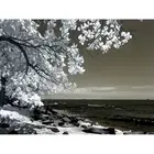 GATYZTORY Краски по номерам море пейзаж маслом Краски ing по номерам на холсте 40x50 см выполненные домашний декор рисовать номер