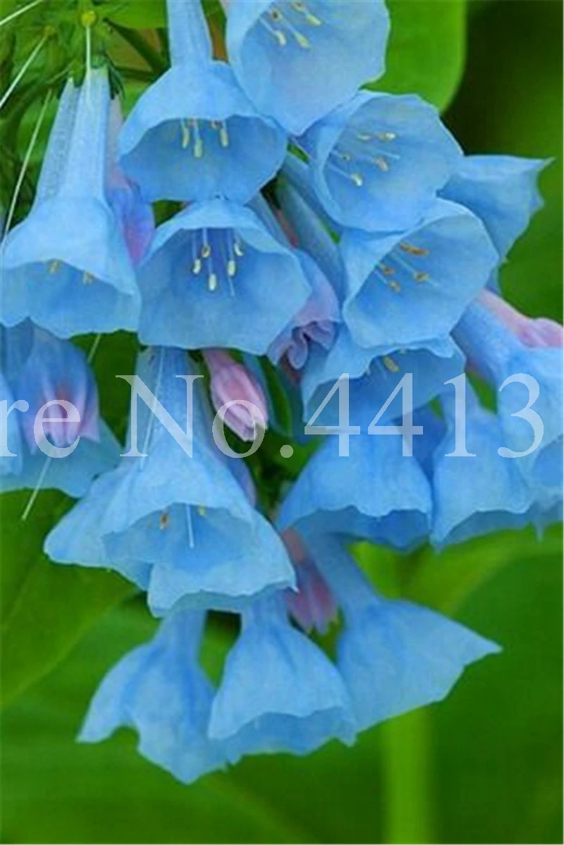 100 шт искусственный цветок |