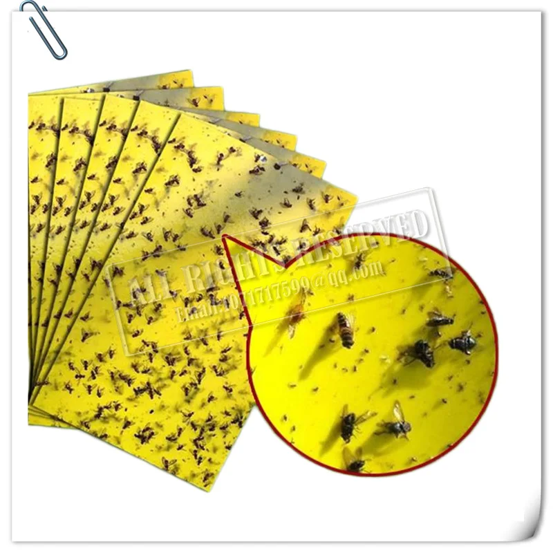 20 шт фрукты муха ошибка москитная убийца насекомые ловушка для вредителей доска