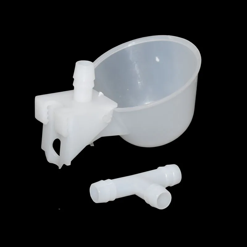 Чаши для перепелок питьевые чаши курицы 100 шт. стеклянные птиц инструменты