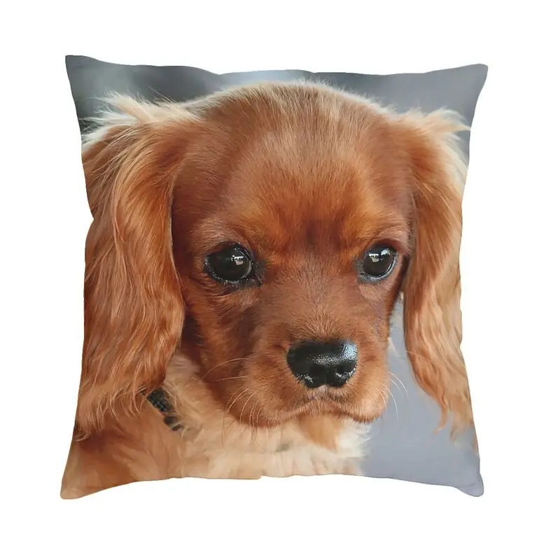 

Cavalier King Charles Spaniel Dog Pillow Case 40x40cm Decoration Kawaii Cute Puppy Outdoor Cushions Square Pillowcase