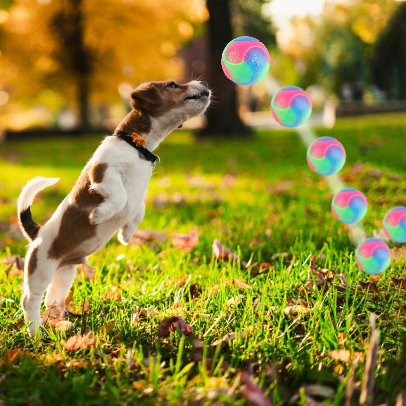 

Light Up Dog Balls Flashing Elastic Ball LED Molar Ball Glowing Ball Pet Color Light Ball Interactive Toys For Cats, Dog Toy Pet