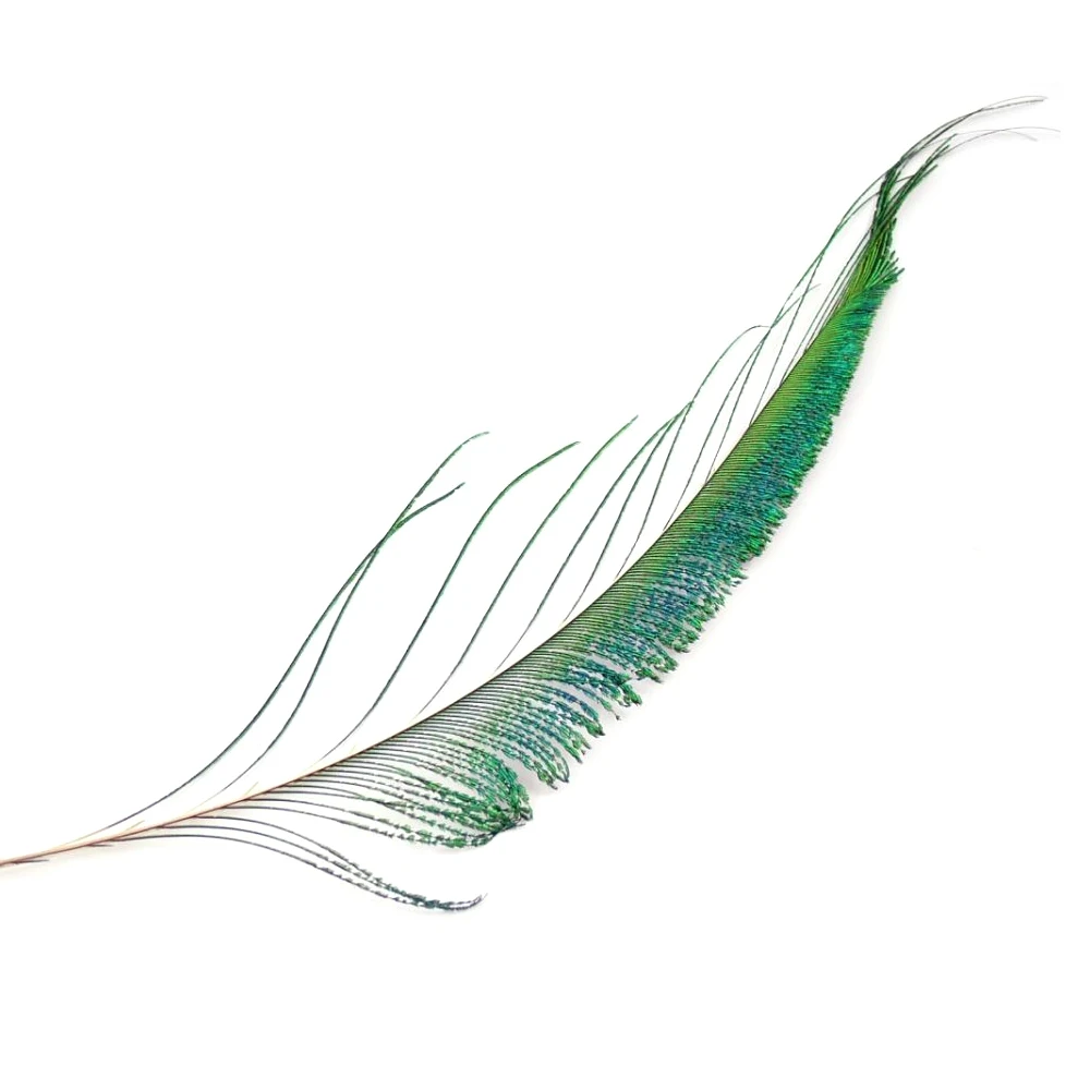Vampfly 10PCS Natural Color Peacock Sword Feather for Fly Tying Zug Bug Nymphs Wet Flies Fishing Material | Спорт и развлечения