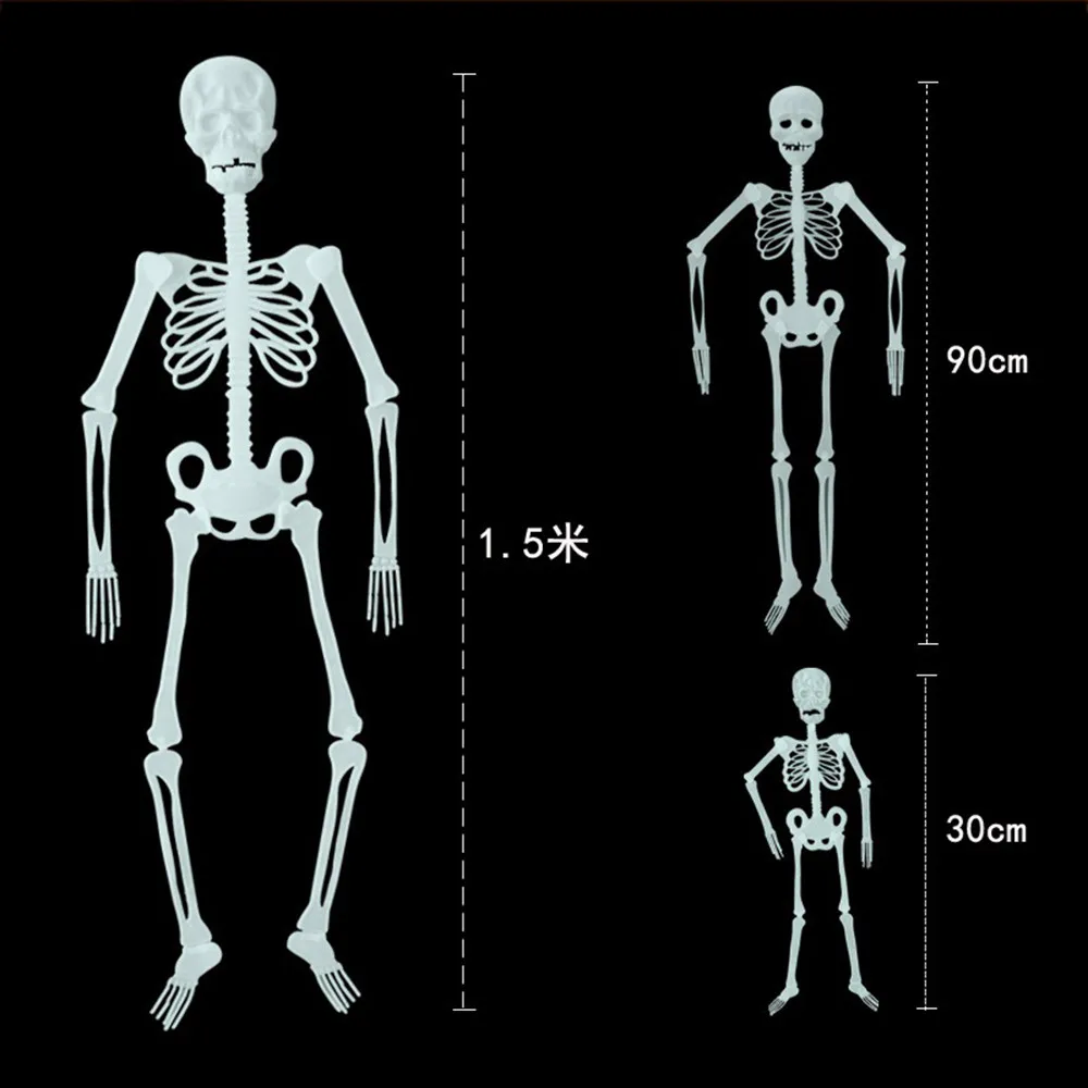 Светящаяся человеческая анатомическая медицинская модель скелета оптовая