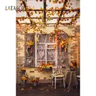 Фон для фотографий Laeacco, для Ярда, окна, стула, осенних фруктов