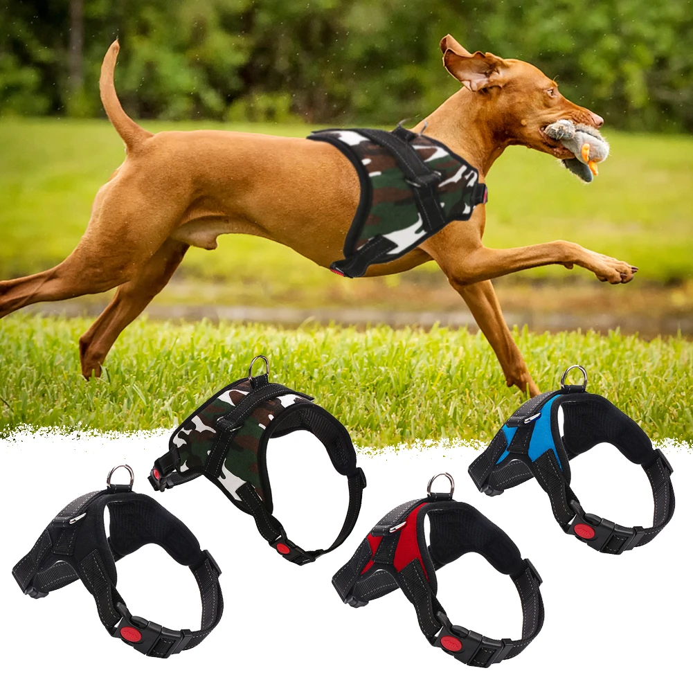 Шлейка для собак с поводком летняя Регулируемая жилетка прогулок щенком ремень