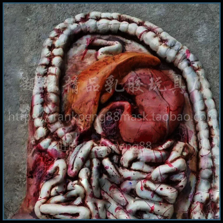Кровавая еда человеческий большой кишечник реквизит часть тела орган для