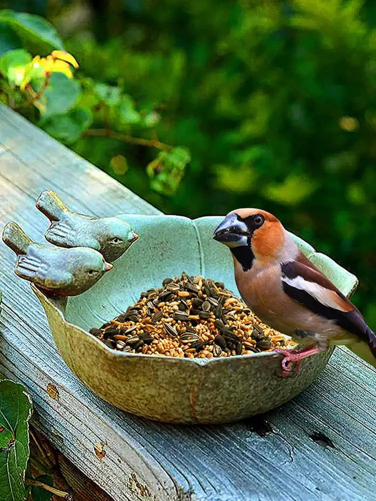

Bird Feeder Yard Ceramic Birth Baths Garden Decor Birth Feeder Ceramic Aquarium Retro Finish Bird Feeder Tray 2021 NEW