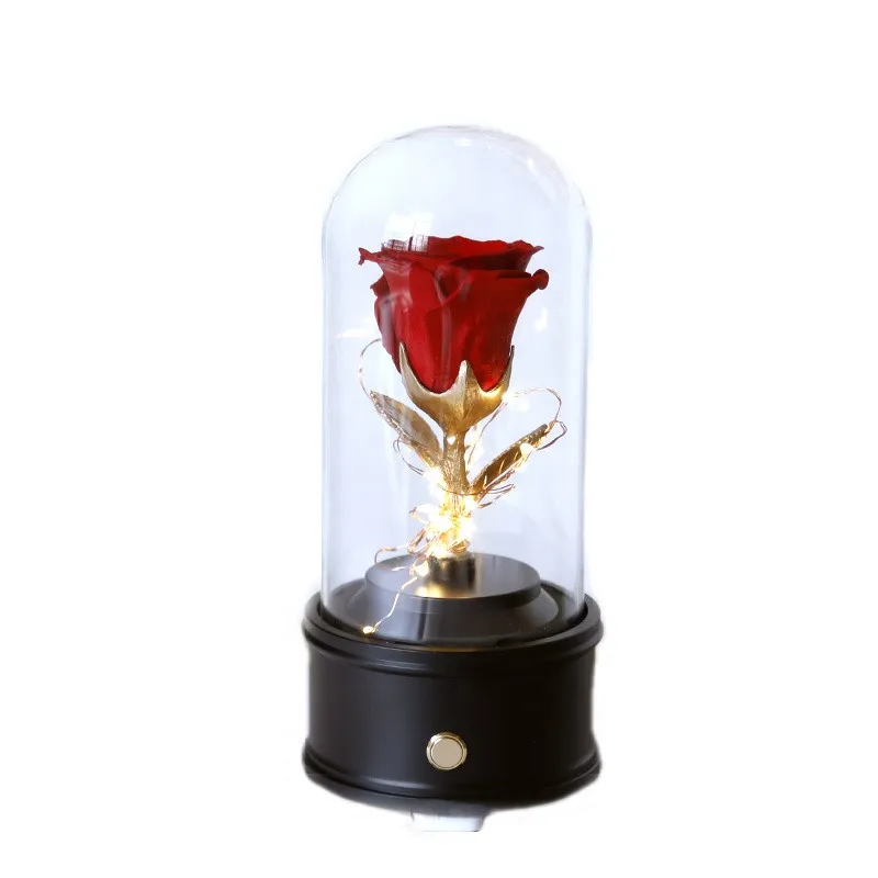 Hot Sale Beautiful Led Light Bluetooth Speaker Preserved Eternal Roses in Glass Dome | Дом и сад