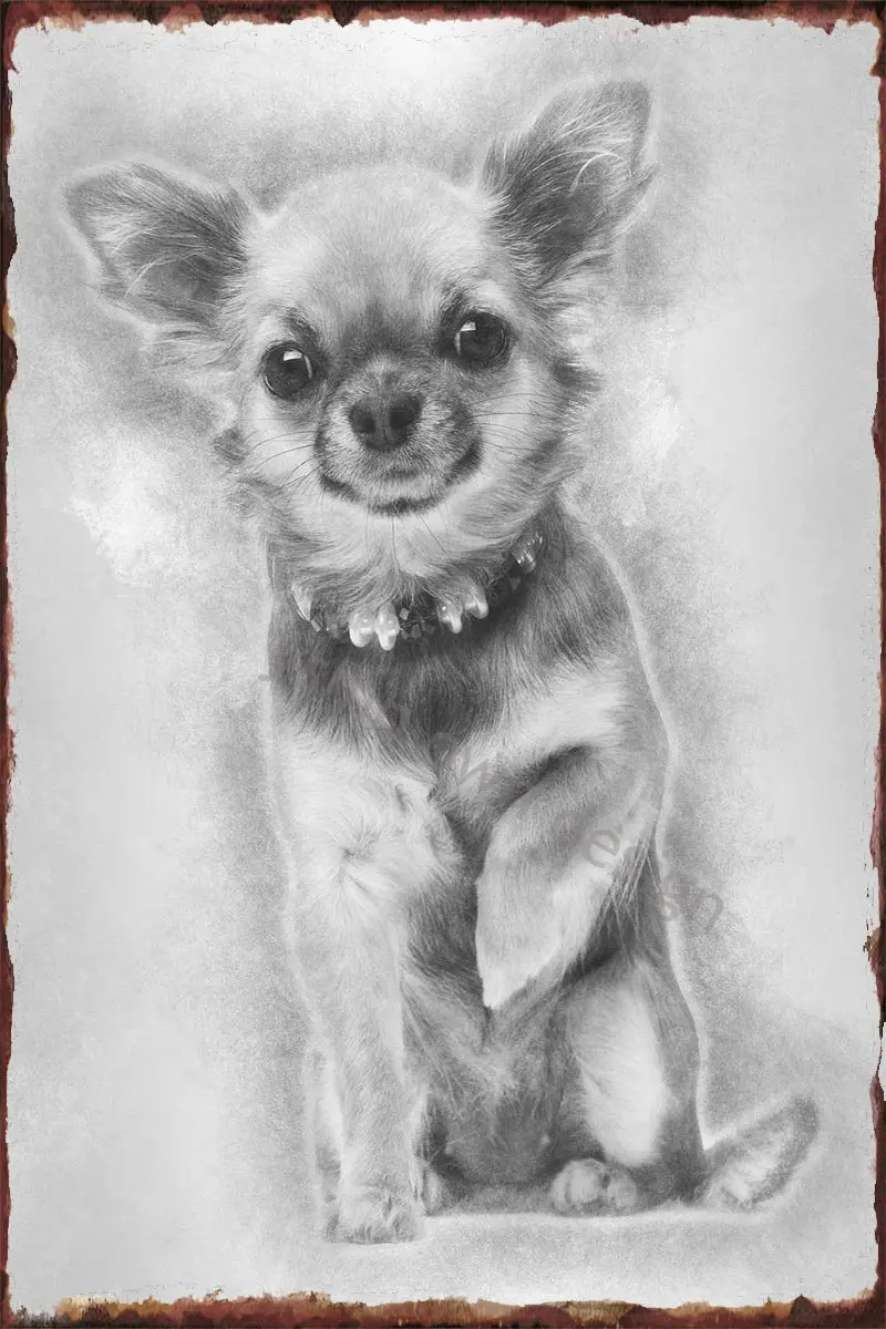 

Винтажная металлическая ретро-вывеска чихуахуа, сидячая и выглядящая Оловянная табличка, Настенный декор для художественного клуба, мужск...