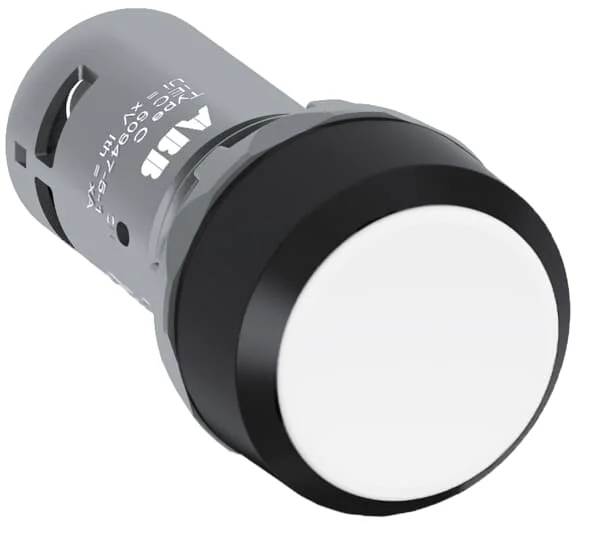 CP2-10W-10 62000034 компактная кнопка-поддерживается-Flush-Белый-без подсветки-черный