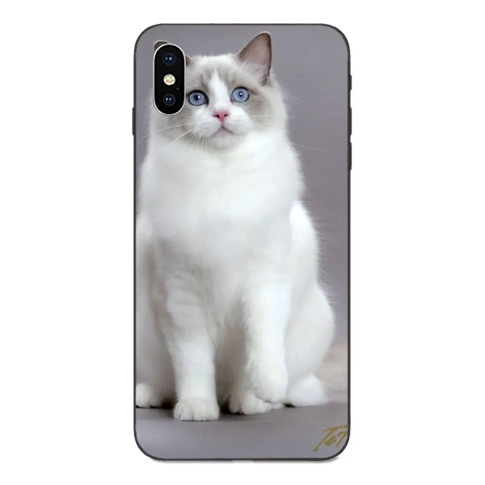 ТПУ Модный чехол для Apple iPhone 4 4S 5 5S SE 6 6S 7 8 Plus X XS Max XR Pet Ragdoll Cat Blue Eyes | Мобильные