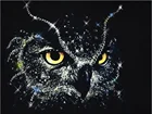 Алмазов картина Наборы мультфильм сова вышивка стразами полный круглый бриллиант с AB дрель Дисплей мозаика Набор для вышивания крестиком Животные шарик подарок