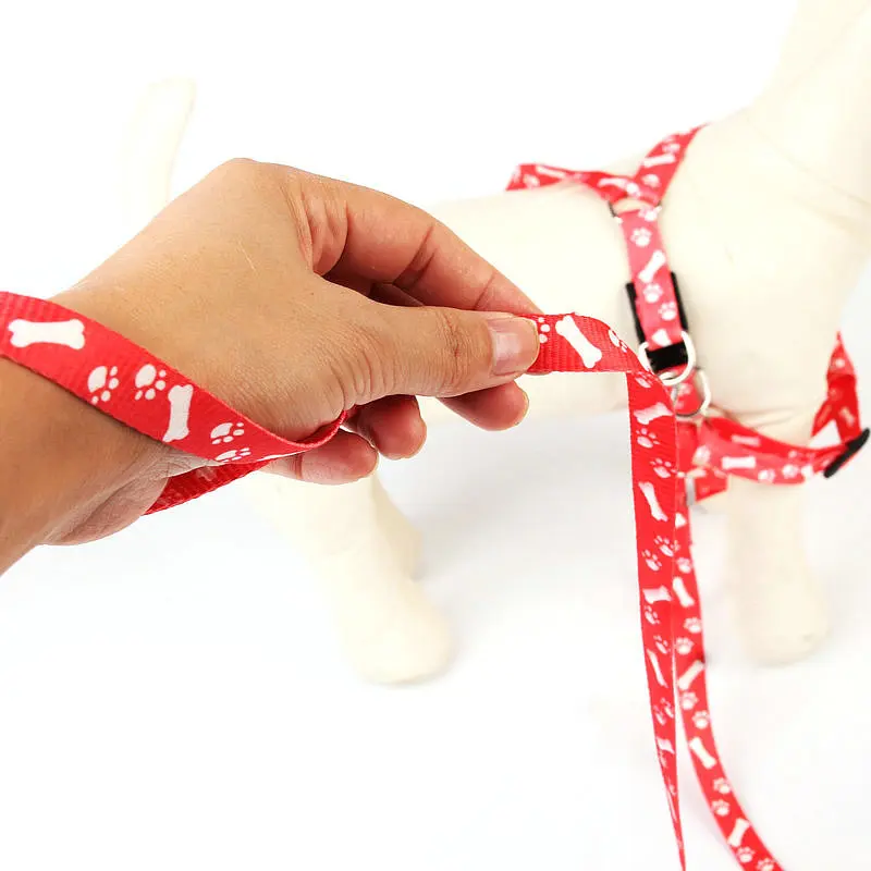 Small Dog Cat Harness Leash Adjustable Vest Collar Puppy Outdoor Walking Chihuahua Terier Schnauzer | Дом и сад