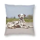 Роскошный чехол для диванной подушки с изображением милой далматинской собаки, домашний декор, чехол для подушки с изображением животных, 45x45, наволочка для дивана