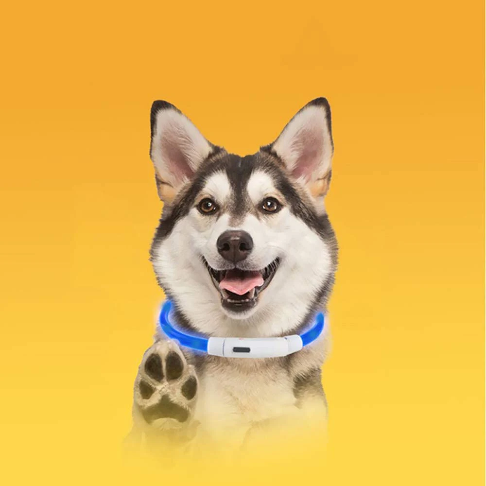 

USB Charging Pet Special Collar LED Luminous Pet Dog Anti-Lost Collar Universal High-Quality Plastic Collar Pet Cats And Dogs