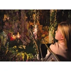 Алмазная мозаика из круглых страз, картина из квадратных страз в голландском парке Efteling, сделай сам, FC206