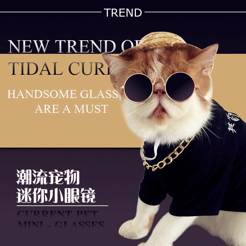 Очки для домашних животных солнцезащитные очки Тедди искусственная кожа | Дом и