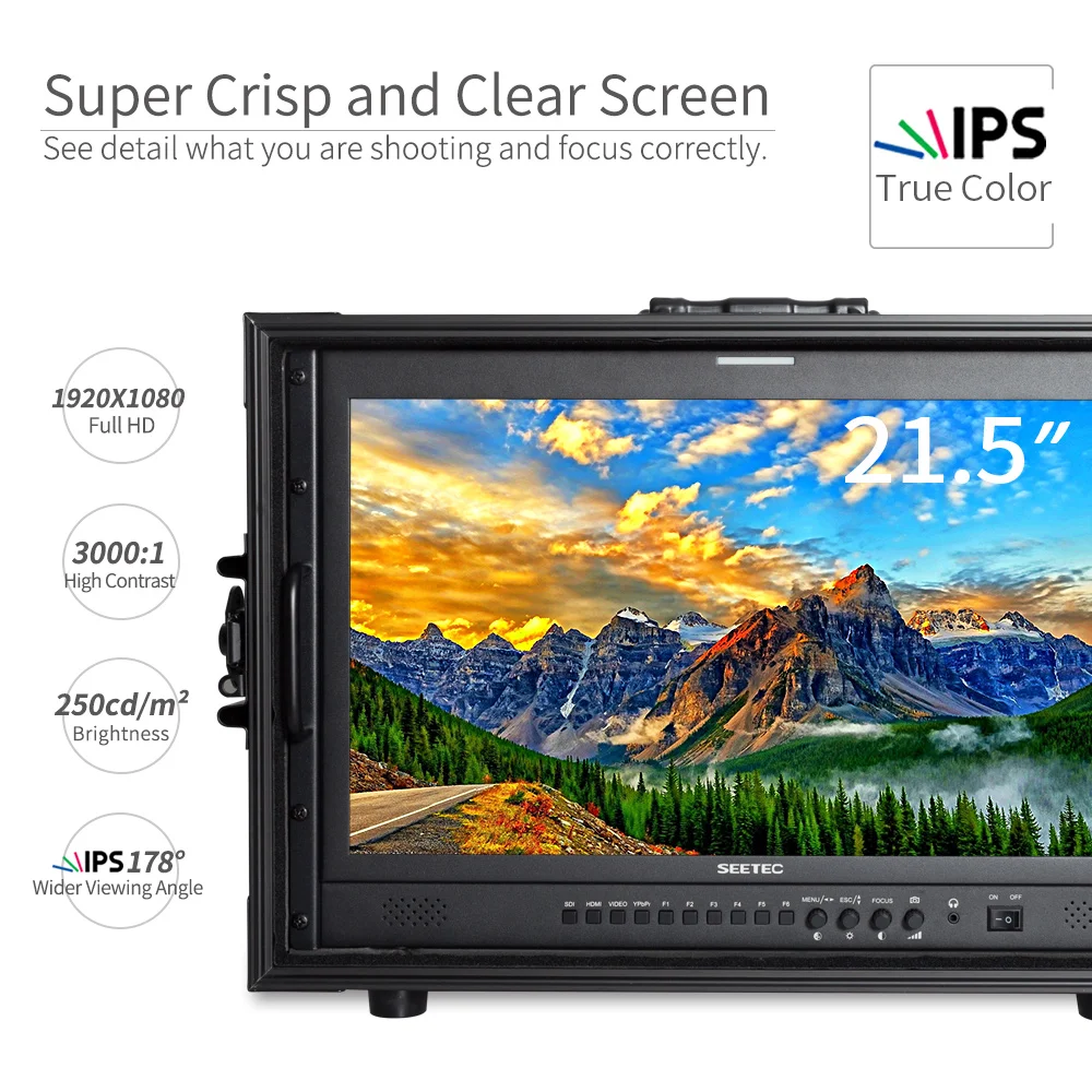 Монитор Seetec 4K215-9HSD-192-CO 21 5 дюйма IPS Full HD 1920x1080 для ручной трансляции с чемоданом