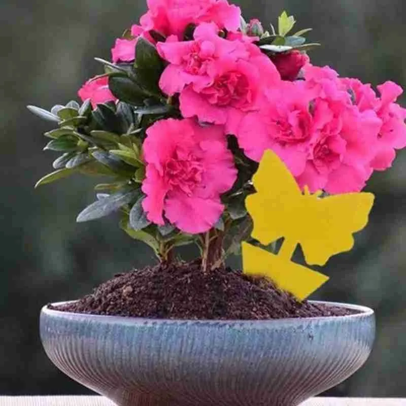 

Insect Pest Control Garden Strong Glue Plant Sticky Traps For Aphids Dual Sided Fruit Fly Fungus Gnats Garden Tools