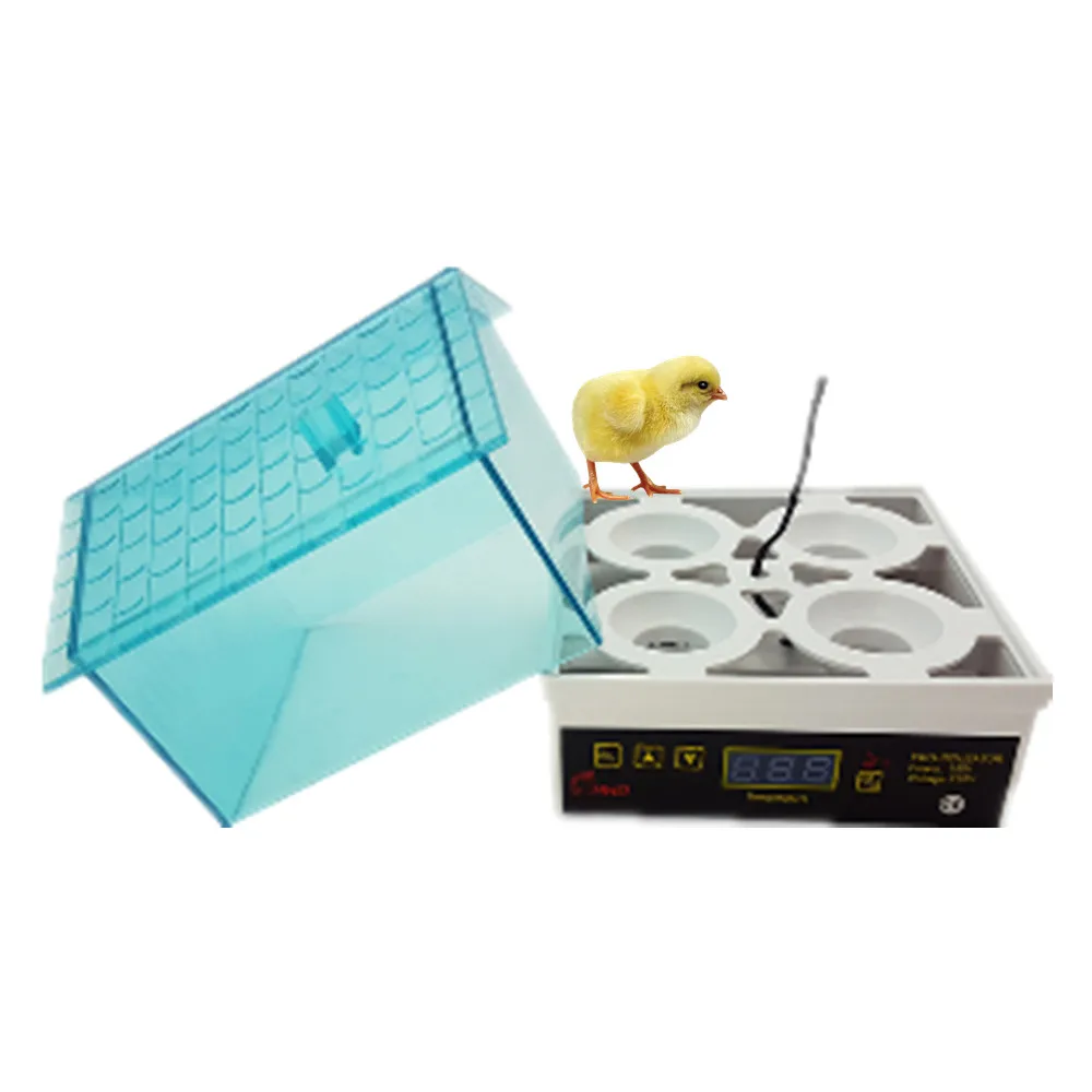 Продажа мини-инкубатора для яиц | Канцтовары офиса и дома