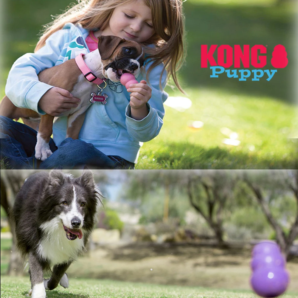 

KONG Pet Supplies Classic Bite Resistant Rubber Gourd Bite Leakage Pets Dogs Toy Trainer Exercise Puppy Treat Toy