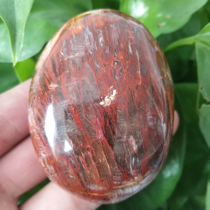 

Natural Stone Petrified Wood Palm Madagascar Silicified Wood Spiritual Healing Reiki HomeDecoration Wicca Supplies