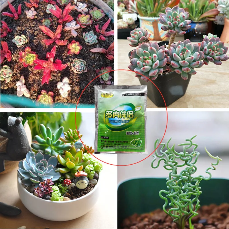 Комплект из 2 предметов сочные специальное удобрение Орхидея бонсай растения Еда