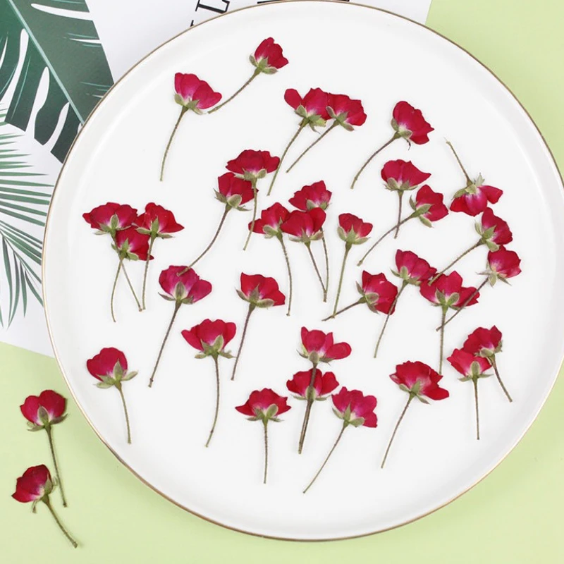 12 штук 2-4 см высушенные розы все виды самодельных сухих цветочных украшений