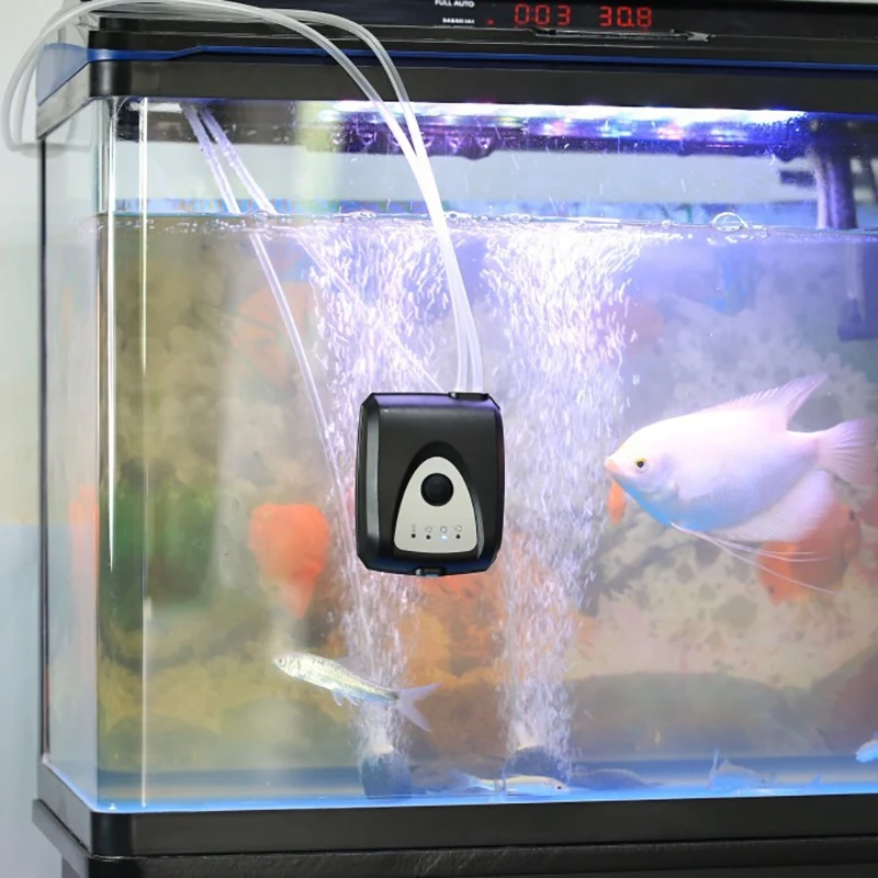 

Solar Oxygen Generator, Oxygen Pump, Solar Aquarium Fish Tank Air Pump Kit to Increase Oxygen in Aquarium Fish Tank Outdoor Pond