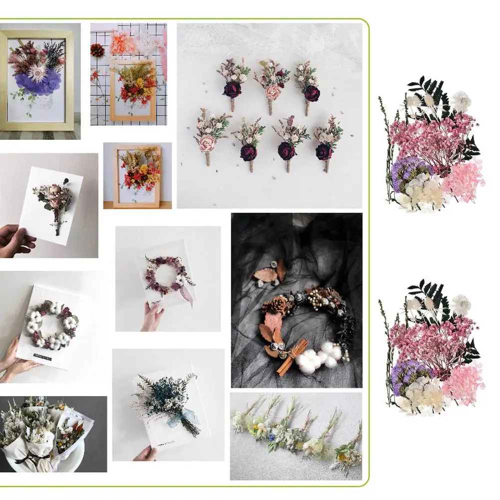 Сушеные прессованные цветы сушеные листья россыпью для самостоятельного