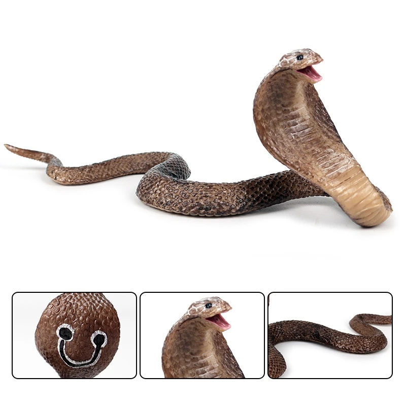 Simulation Reptile Model Cobra Snake Amphibious Spectacles Kingsnake Tidy Toy Ornaments |