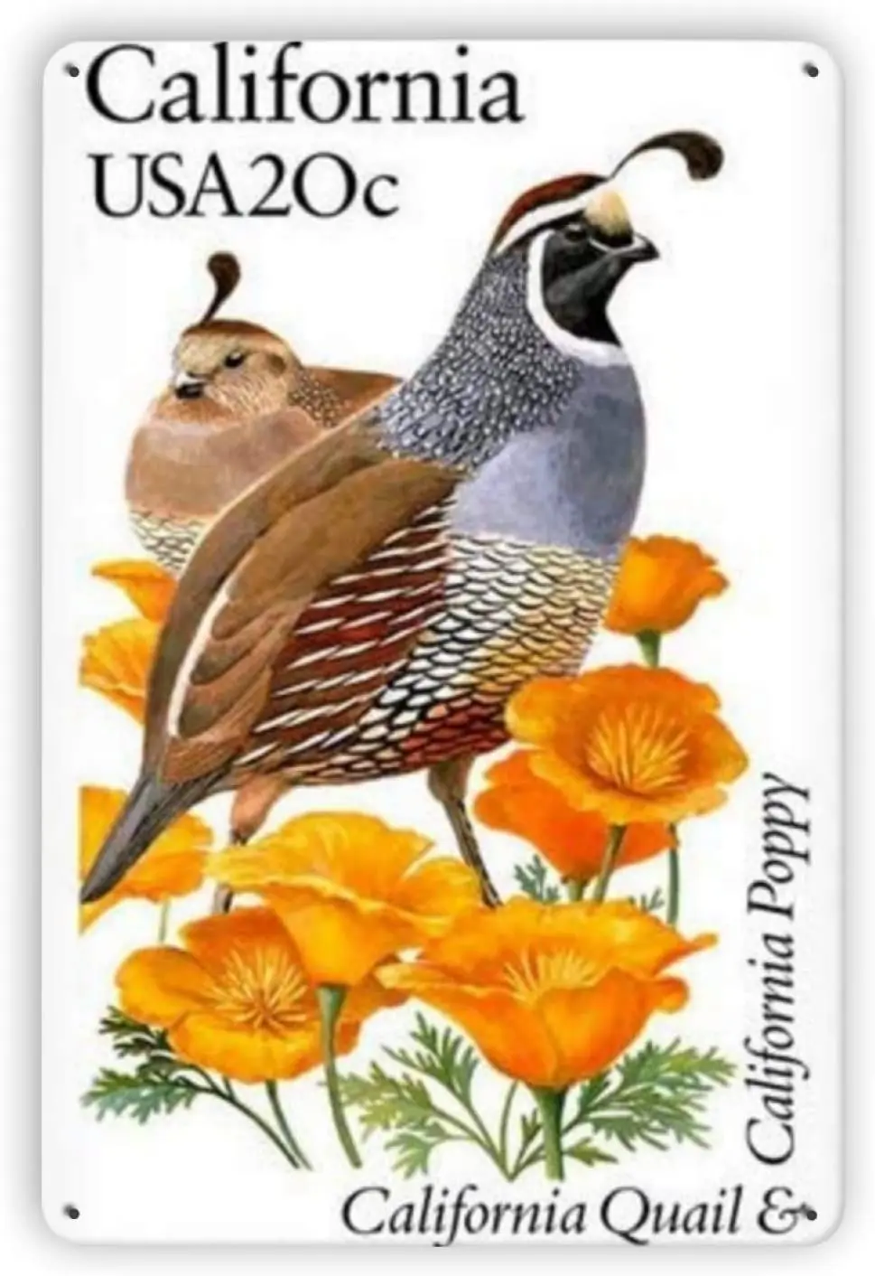 

Woollywonder Knits California Quail Metal Sign Retro Wall Decor Wall Art Decoration Plaque for Home Kitchen Bar Cafe Door Garden