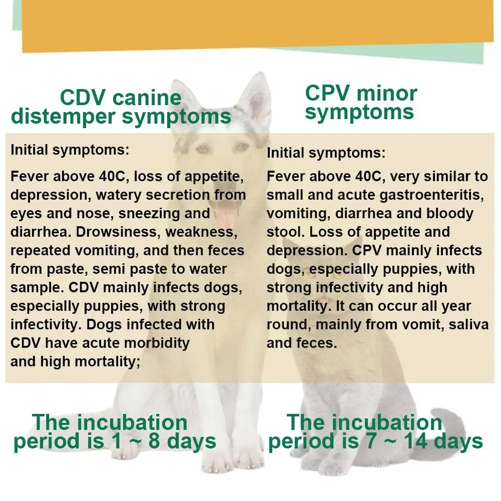 Тест для домашних животных на бумаге кошка собаки домашнее обнаружение