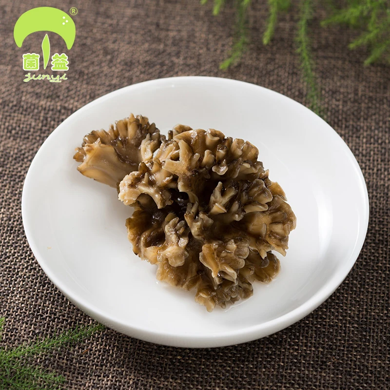 

Maitake dry 150 g/bag celebrating peasant chestnut mushroom fungus mushroom