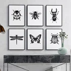 Натюрморт насекомое черно-белая бабочка пчела насекомое Картина на холсте плакаты и принты Настенная картина украшение для дома
