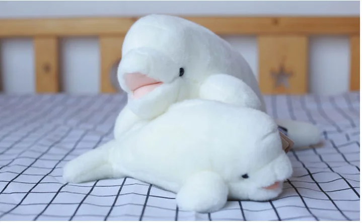 ΠΠΎΠ²Π°Ρ ΠΈΠ³ΡΡΡΠΊΠ°, ΠΊΡΠ΅Π°ΡΠΈΠ²Π½Π°Ρ ΠΏΠ»ΡΡΠ΅Π²Π°Ρ ΠΈΠ³ΡΡΡΠΊΠ° Beluga, ΠΌΡΠ³ΠΊΠ°Ρ ΠΊΡΠΊΠ»Π° Π±Π΅Π»ΠΎΠ³ΠΎ ΠΊΠΈΡΠ°, Π΄Π΅ΡΡΠΊΠ°Ρ ΠΈΠ³ΡΡΡΠΊΠ°, ΡΠΊΡΠ°ΡΠ΅Π½ΠΈΠ΅ Π°Π²ΡΠΎΠΌΠΎΠ±ΠΈΠ»Ρ, ΠΏΠΎΠ΄Π°ΡΠΎΠΊ Π½Π° Π΄Π΅Π½Ρ ΡΠΎΠΆΠ΄Π΅Π½ΠΈΡ h1277 ΠΠΎΠ²Π°Ρ ΠΈΠ³ΡΡΡΠΊΠ°, ΠΊΡΠ΅Π°ΡΠΈΠ²Π½Π°Ρ ΠΏΠ»ΡΡΠ΅Π²Π°Ρ ΠΈΠ³ΡΡΡΠΊΠ° Beluga, ΠΌΡΠ³ΠΊΠ°Ρ ΠΊΡΠΊΠ»Π° Π±Π΅Π»ΠΎΠ³ΠΎ ΠΊΠΈΡΠ°, Π΄Π΅ΡΡΠΊΠ°Ρ ΠΈΠ³ΡΡΡΠΊΠ°, ΡΠΊΡΠ°ΡΠ΅Π½ΠΈΠ΅ Π°Π²ΡΠΎΠΌΠΎΠ±ΠΈΠ»Ρ, ΠΏΠΎΠ΄Π°ΡΠΎΠΊ Π½Π° Π΄Π΅Π½Ρ ΡΠΎΠΆΠ΄Π΅Π½ΠΈΡ h1277