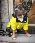 Модная уникальная толстовка с капюшоном, теплая Толстая флисовая ветрозащитная водонепроницаемая одежда для собак, дождевик для маленьких и средних собак