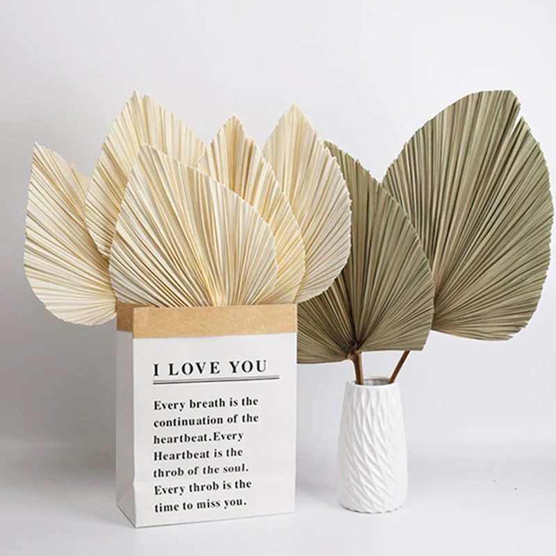 Abanico de Palma de hoja seca, decoraci&oacute;n colgante de pared art&iacute;stica para fiesta de recepci&oacute;n, boda, 5 uds.-0