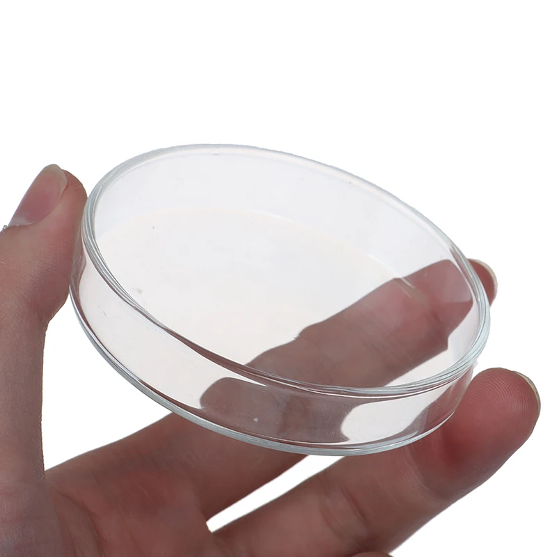 1pc Clear Glass Glass Petri Dishes Cell Sterile Culture Dish Lab Supplies Feeder Tray Round Container Aquarium