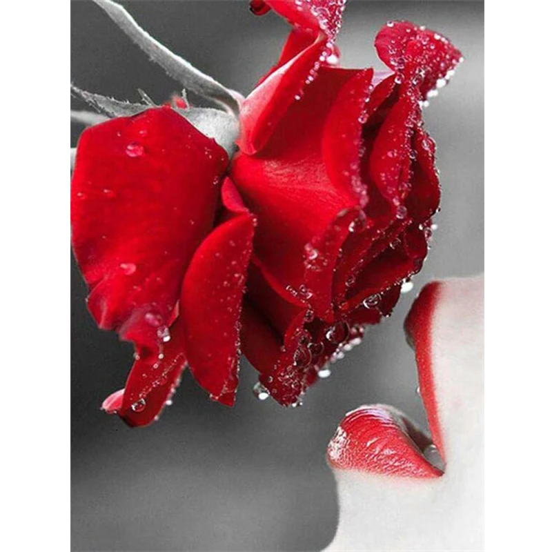 

5D алмазная живопись «сделай сам», полноразмерная красная и черная серия, украшение для дома, вышивка, ручная работа, художественные наборы