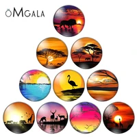 colorful beauty sunset animals 8mm10mm12mm18mm20mm25mm round photo glass cabochon demo flat back making findings