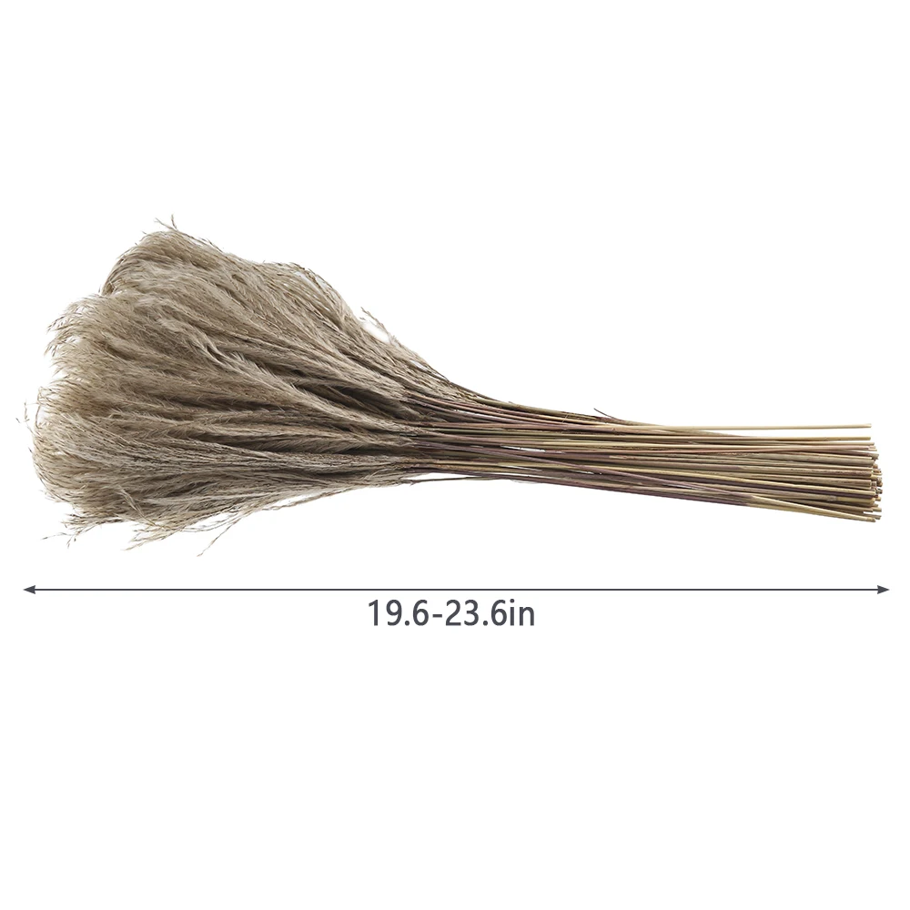 50 шт. Натуральные Сушеные маленькие пампасы травы Искусственные цветы растения вечерние рождественские