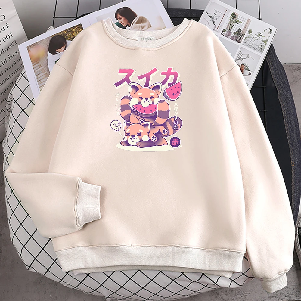 

Watermelon Cats Printing Women Hoodies Vintage Crewneck Hoodie Korean Oversize Hoody Simple Comfortable Autumn Streetwear Female