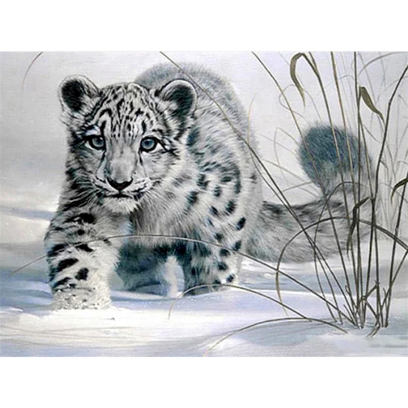 

GATYZTORY Oil Painting By Numbers Animals Cheetah Handpainted Unique Gift Pictures By Numbers For Adults Room Decoration