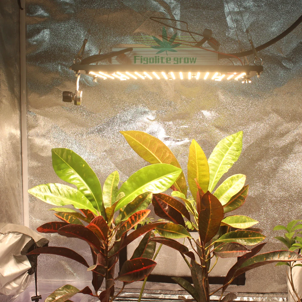Figolite grow QB288 LM301H 125 Вт микс 660nm УФ ИК светодиодный светильник, доска с теплоотводом, без драйвера
