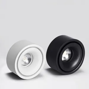 Светодиодный потолочный светильник с регулируемой яркостью, точечный светильник для гостиной, скандинавский светильник для кухни, прохода, Точечный светильник для поверхностного монтажа, AC90-260v