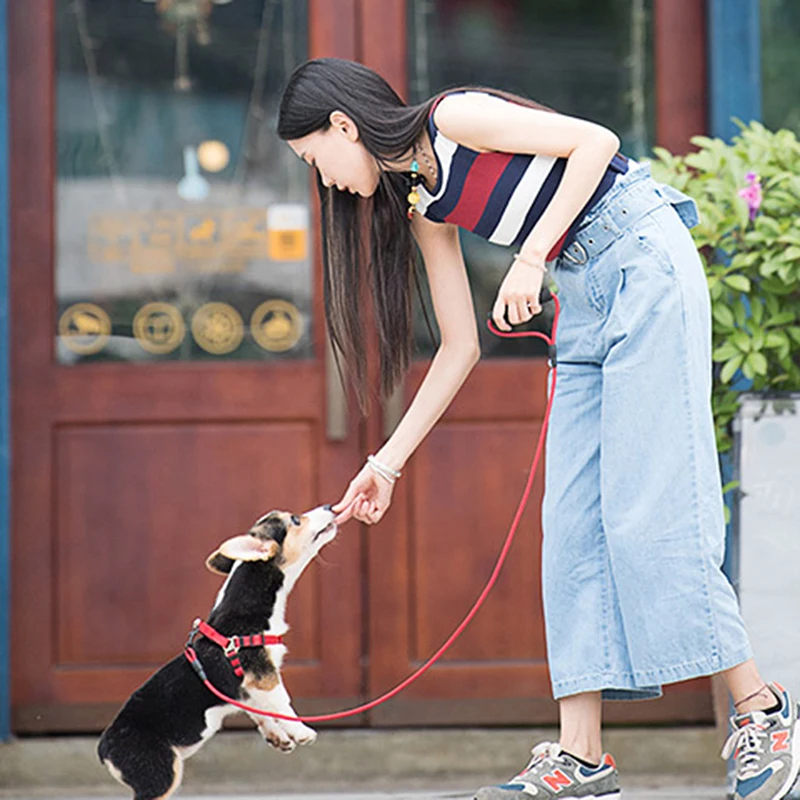 New Pet Dog Collars Traction Rope Supplies Chain Collar Chest Strap Harness Vest Adjustable Buckle Leash | Дом и сад